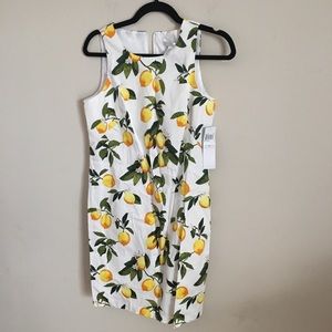 London Times Lemon Print Dress NWT